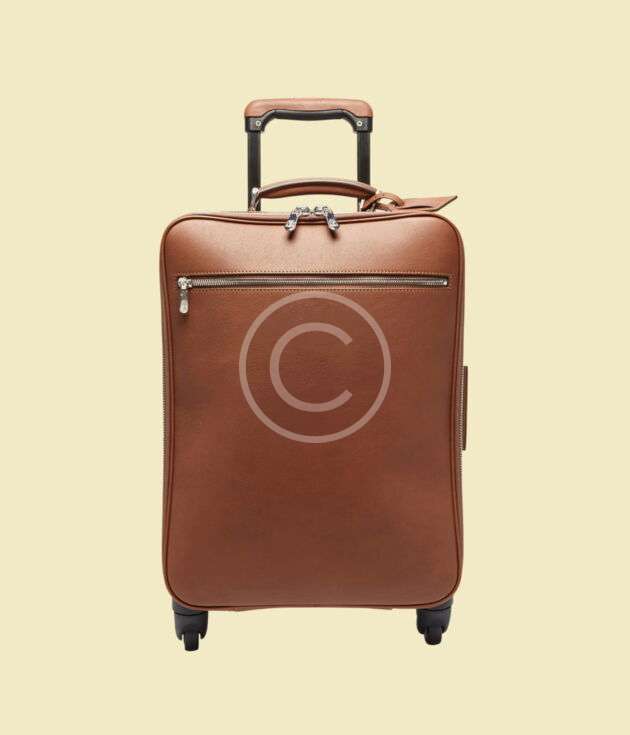 Brown leather travel suitcase