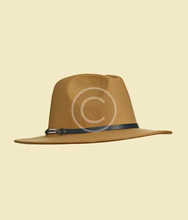Tan wool fedora hat